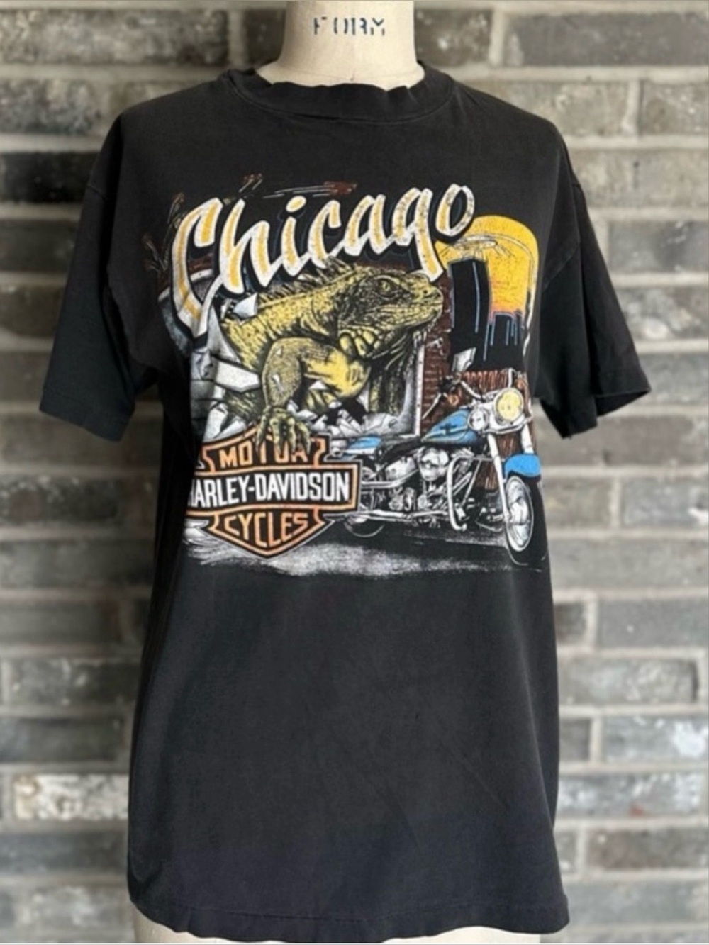 Vintage Harley Davidson Chicago Iguana Motorcycle Hanes Beefy Single Stitch M